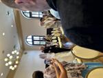 20250913213940879390_IMG_4714.jpeg